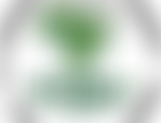 Multas do ICMBio despencam em 2024