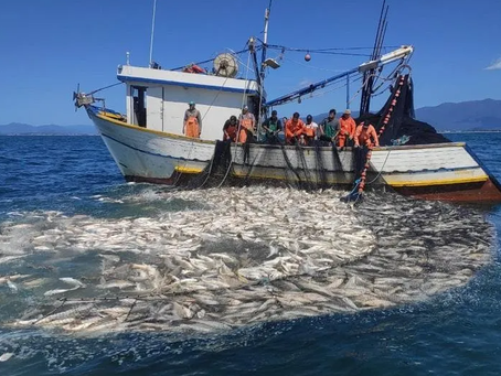 Decreto institui CONABIO sem a participação de representantes da pesca industrial