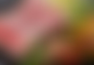 Atum: A verdade entre a ciência, a saúde, a tradição e o medo criado pela desinformação e por narrativas midiáticas.