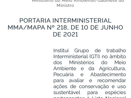 Jorge Seif Júnior se pronuncia sobre  Grupo de Trabalho que discutirá a 445 e que se reunirá amanhã.