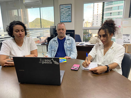 Reunião do GT Pró-estoques