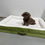 Thumbnail: Orthopedic Dog Bed XL