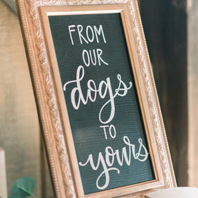 A framed hand-lettered wedding sign that reads "From Our Dogs to Yours" in elegant script, displayed at a wedding reception. Designed by Amanda Elliott of Letters from Elliott, Iowa & Chicago.