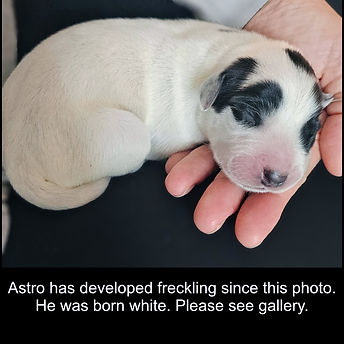 Astro - wk1 - 1x1 - 2.jpg
