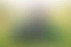 TRAKTOR BLAST na akumulator