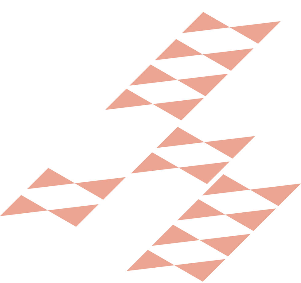 LFA_identite_trame_1.png