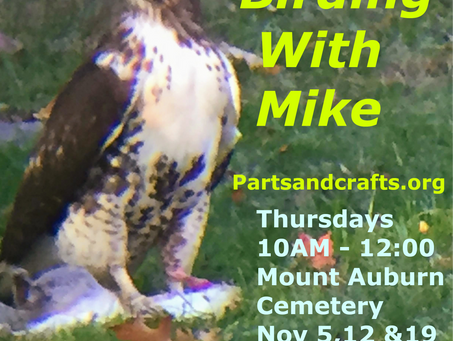 Come Birding With Mike Before We Migrate til Spring! Three more trips. Register Now!!