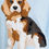 Thumbnail: Beagle blue sweater 