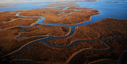 Venetian_Lagoon_Ecosystem_2.jpg