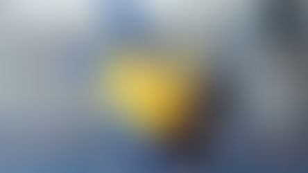 Türkiye'nin İlk Kuşak Güreşi Antrenörleri Kayseri'de Yetişiyor