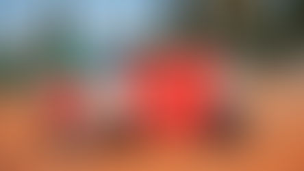 Tekerlekli Sandalye A Milli Kadın Tenis Takımı Avrupa Elemelerinde Finalde!