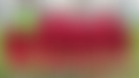 U18 Milli Takımı’nın Hazırlık Turnuvası Aday Kadrosu Açıklandı