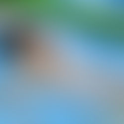 Milli Para Yüzücü Turgut Aslan Yaraman'dan İspanya'da Bronz Madalya! 🥉🇹🇷