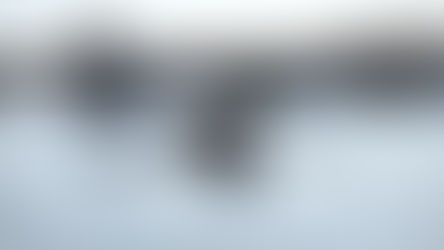 Türkiye Kürek Şampiyonası Edirne’de Tamamlandı