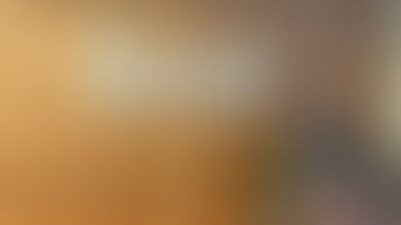 Settling into Wellington