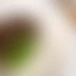 Prazo finalizado da receita de cogumelos