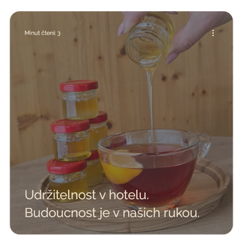 Udržitelný hotel, bez plastů, lokální dodavatelé, tříděný odpad.