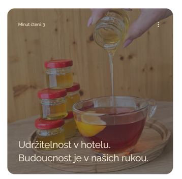Udržitelný hotel, bez plastů, lokální dodavatelé, tříděný odpad.