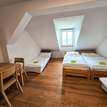 Čtyřlůžkový turistický pokoj s výhledem do přírody.