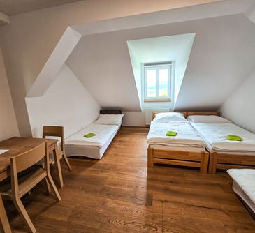 Čtyřlůžkový turistický pokoj s výhledem do přírody.
