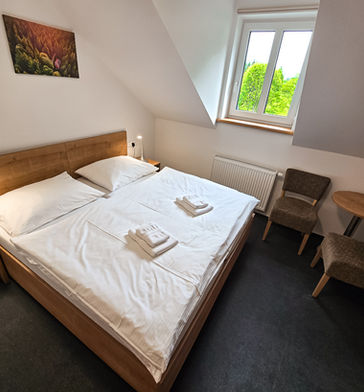 Standardní pokoj dvojlůžkový