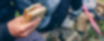 shutterstock_1585432141.jpg