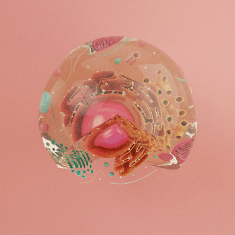 about-1.gif