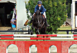 Canterbury SJ Championship 1m 2017