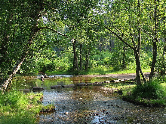 Image shows a river with stepping stones across it. The river is in a beautiful green forest in Cannock Chase, Staffordshire
