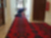 carpet being laid