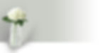 flowers and vase