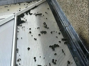 dirty conservatory