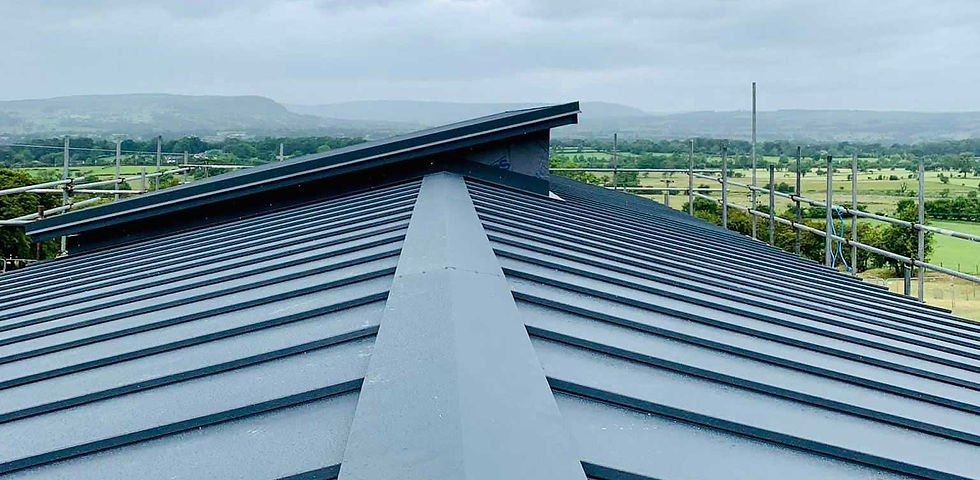 metal roofing and landscape
