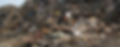 biomass waste
