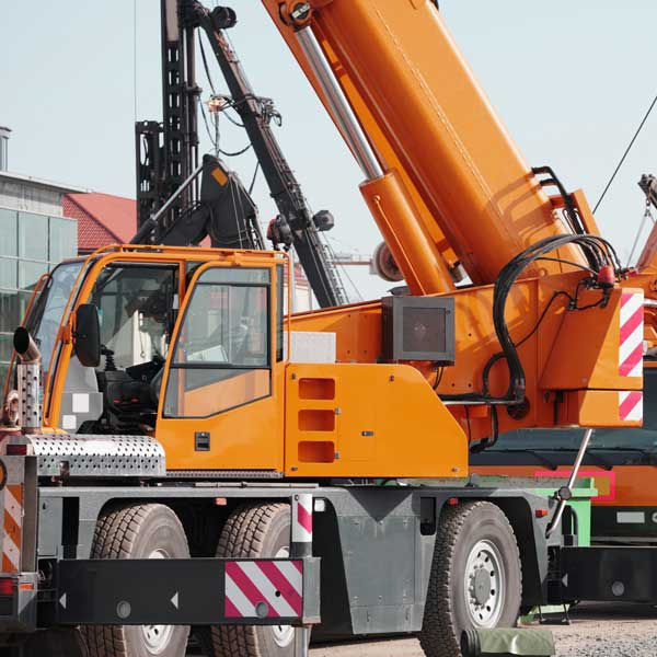 Cranes 101 Learn the Different Types of Cranes