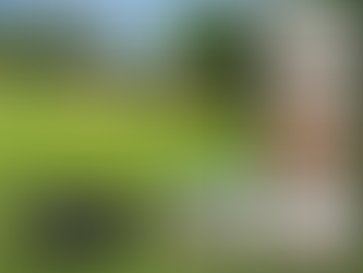 3900 Sedgegrove Road, Greensboro, NC 27407