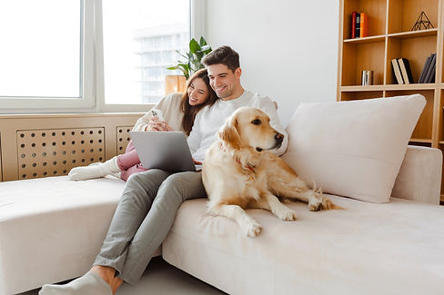 shutterstock_2410159053.jpg