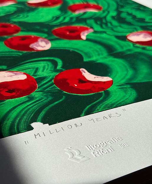 Million Years, Hajdyla, 2025, detail2 LR.jpg