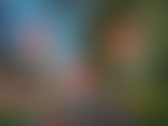 El Mejor Programa de Apoyos