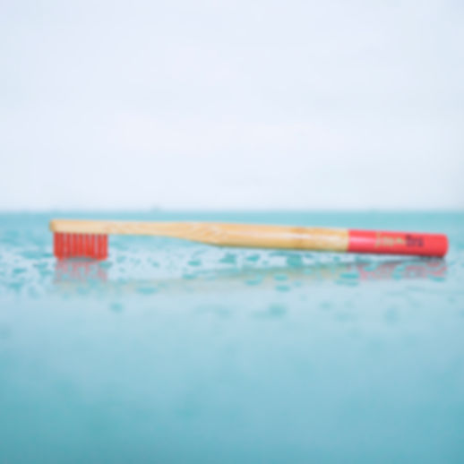 Red Bamboo Toothbrush