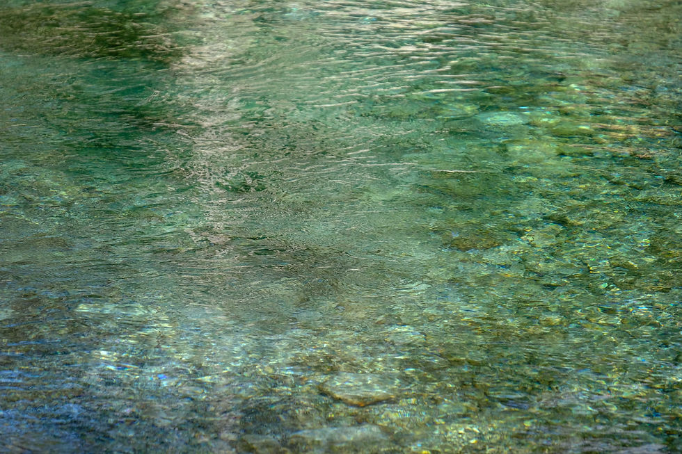 pexels-francesco-ungaro-5328532.jpg