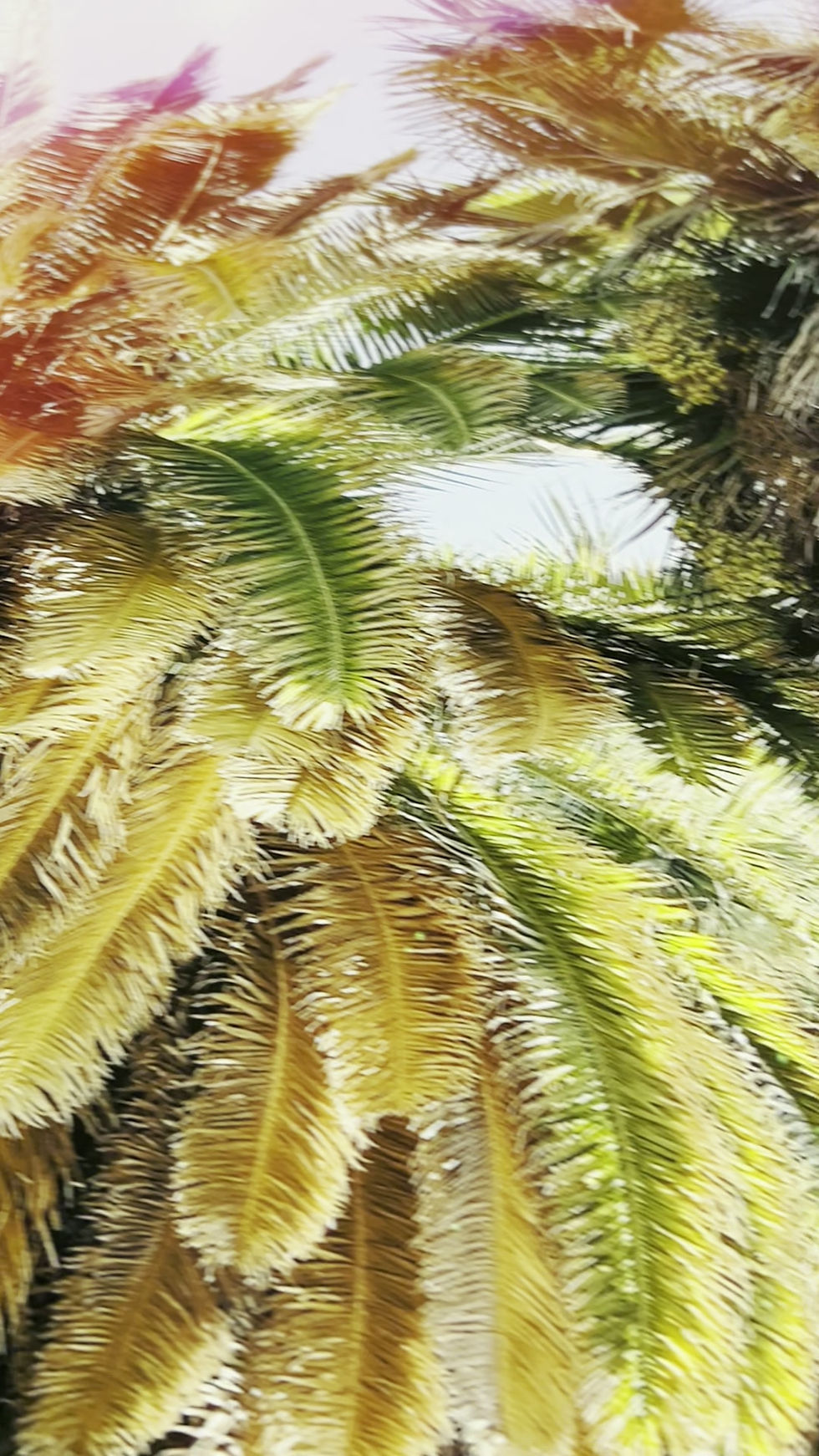 Thumbnail: Wrapped in Green