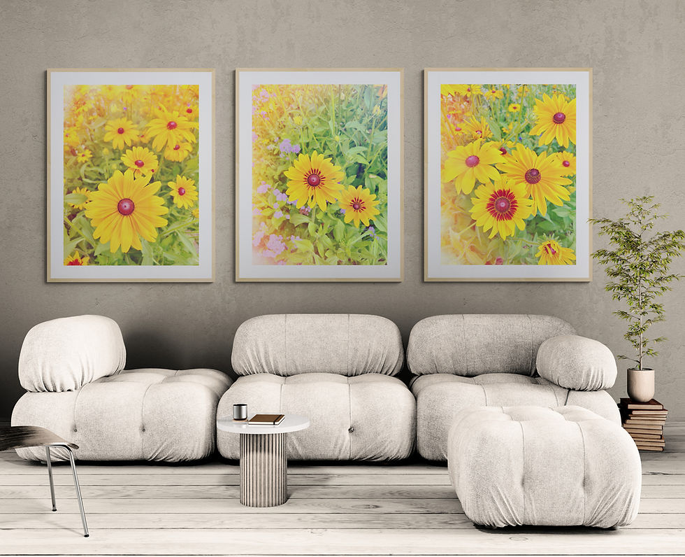 Thumbnail: Black-Eyed Susans 6