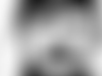 LINDTNERSLEKTEN «Hvorfor er vi den i er?»