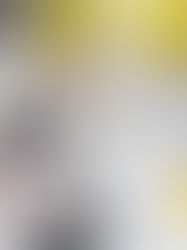 The Quart Tilt-Head Stand Mixer Review (2024): A Powerful Kitchen Workhorse
