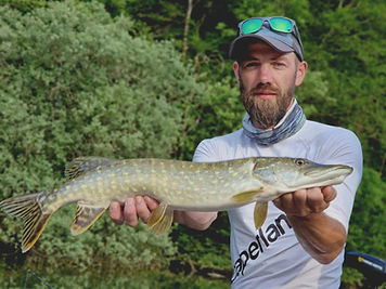 brochet