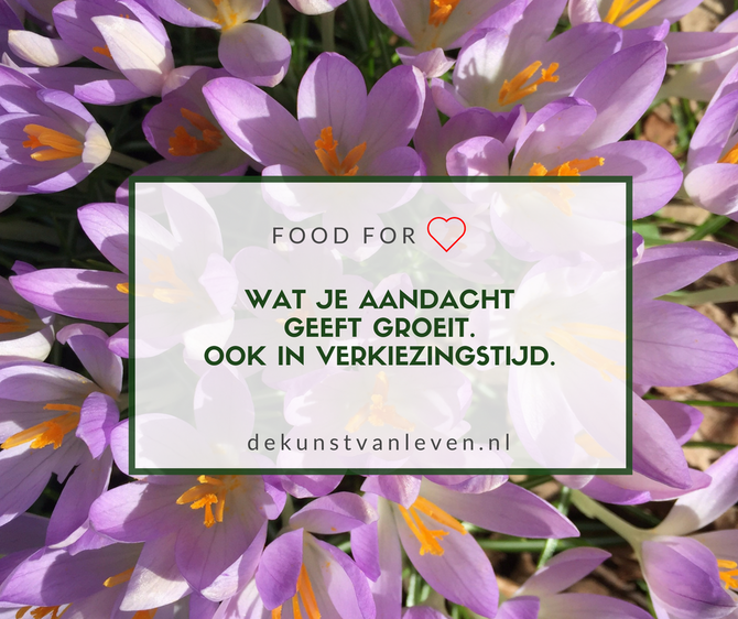 Wat je aandacht geeft groeit. Ook in verkiezingstijd.