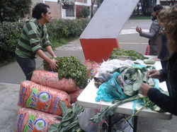 11709217_1045729078770867_5978712886211646725_n