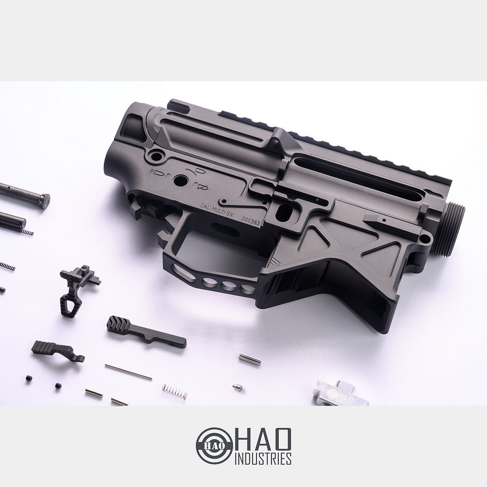 縮圖：HAO BD556 ambi conversion kit for PTW