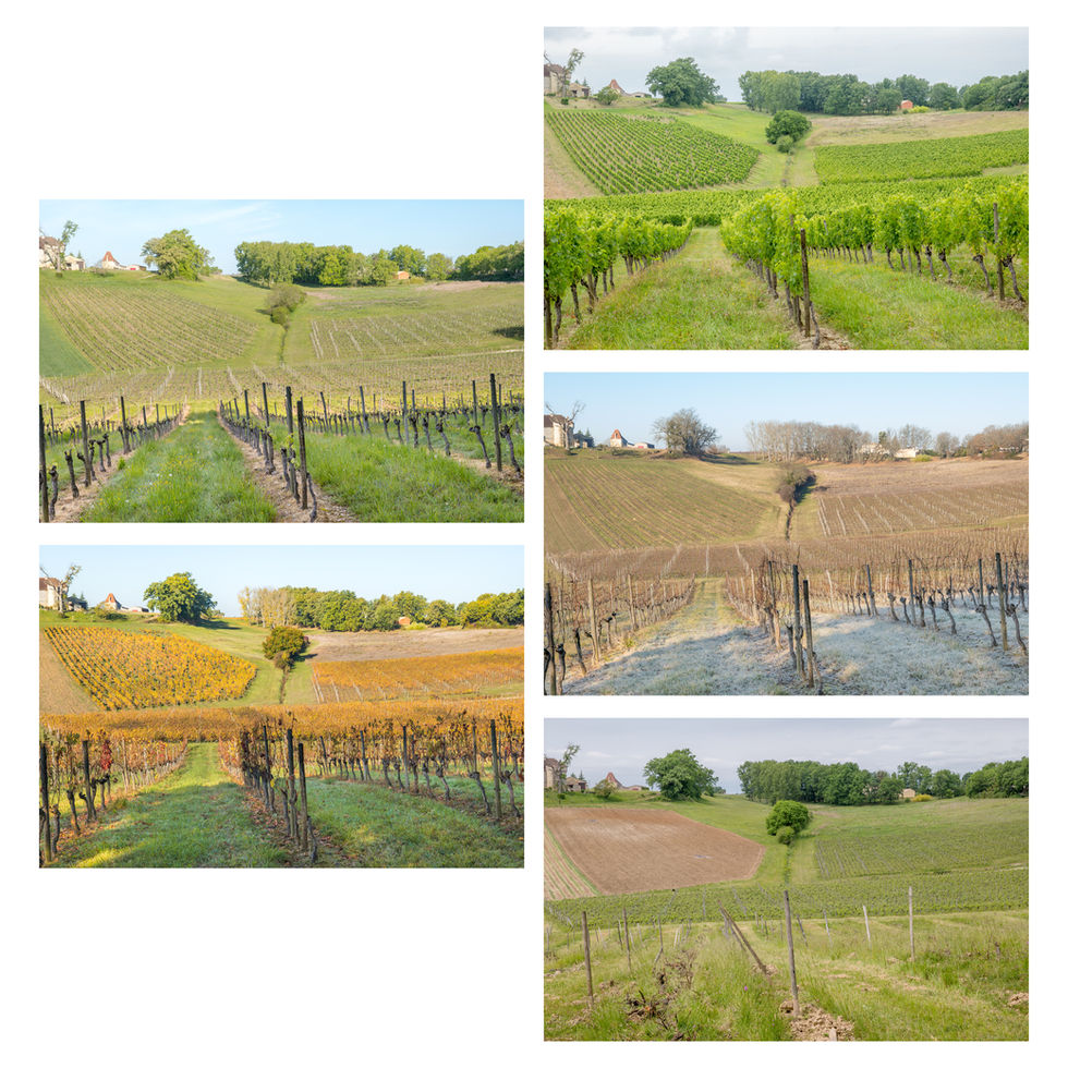 SQUARE - OBSERVATOIRE PHOTO TERRE AMANY11.jpg